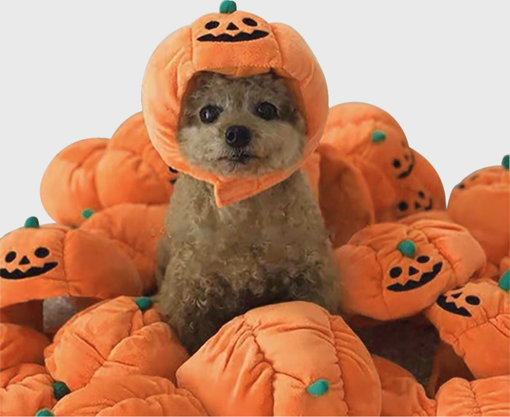 Factory Direct Sale Pet Halloween Pumpkin Hat Teddy Costume Headdress Cat Showing Ears Cat Headgear