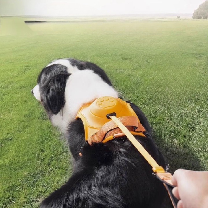 Dog traction rope chest and back integrated retractable dog walking rope medium and large dog vest-style harness to break free