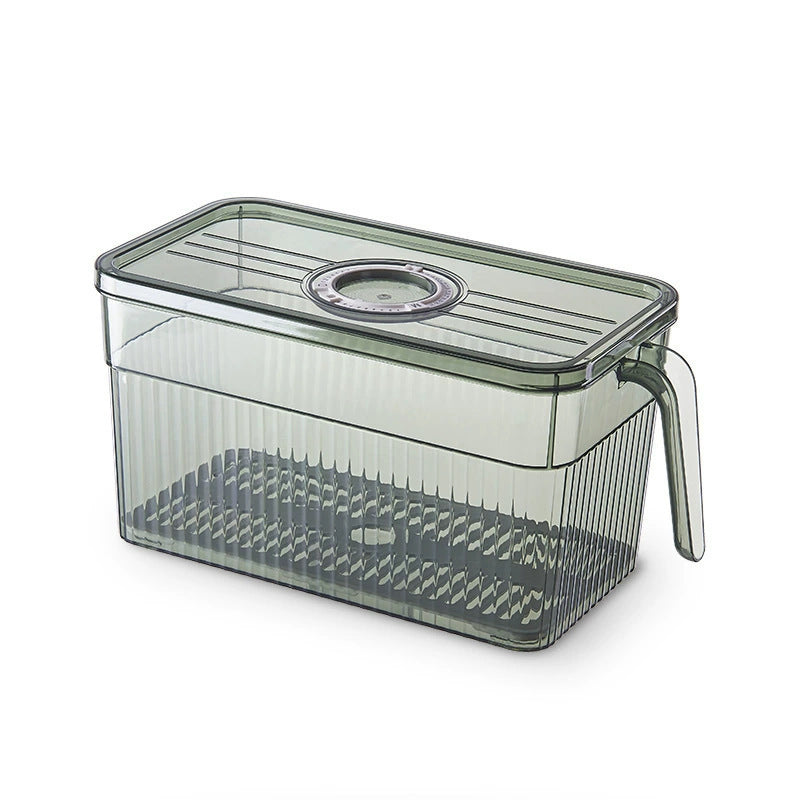 Refrigerator kitchen storage artifact sealed rectangular plastic fruit classification and sorting vegetable PET fresh-keeping box new style