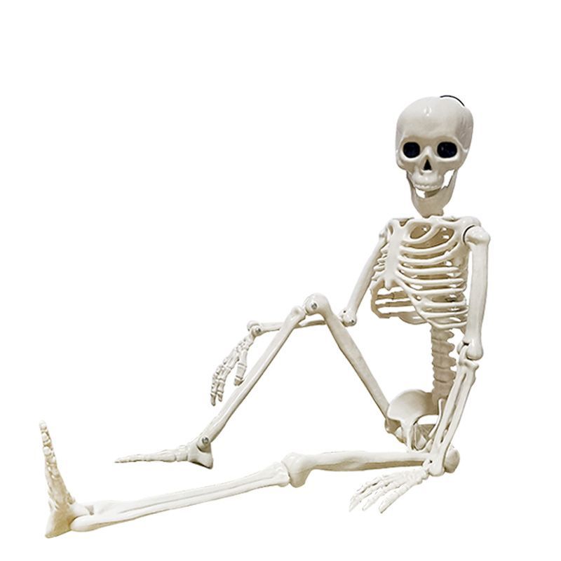 Halloween skeleton skeleton 60cm simulation human plastic skeleton decoration haunted house festival scene layout props
