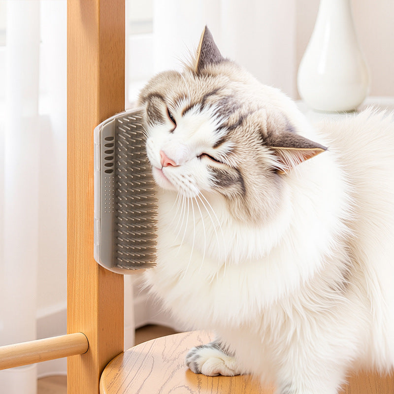 Pet cat scratcher mint ball comb corner to entertain cats to relieve boredom and self-entertainment toys hair removal and itching artifact