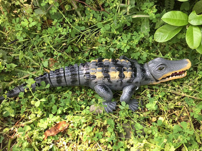 Large electric walking sounding Tyrannosaurus Rex simulation dinosaur animal model toy wholesale one piece
