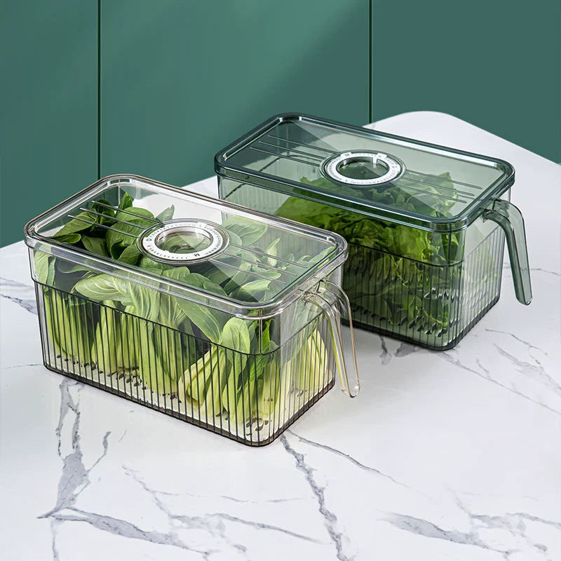 Refrigerator kitchen storage artifact sealed rectangular plastic fruit classification and sorting vegetable PET fresh-keeping box new style