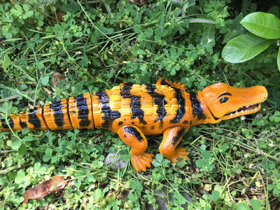 Large electric walking sounding Tyrannosaurus Rex simulation dinosaur animal model toy wholesale one piece
